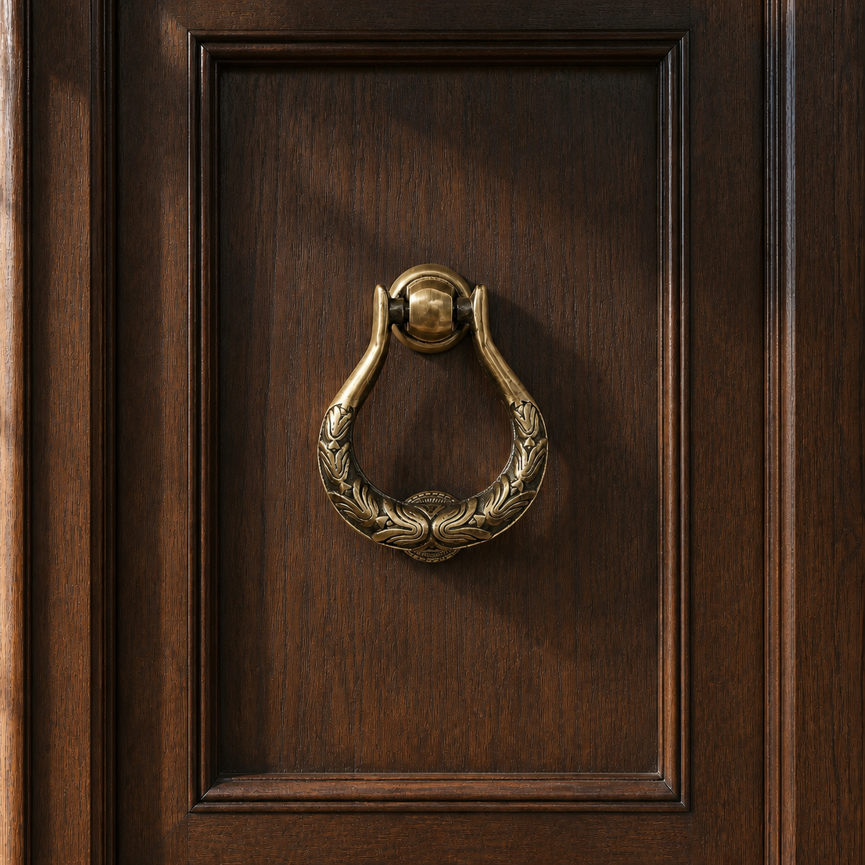Timeless Elegance brass knocker mounted on a dark wooden door